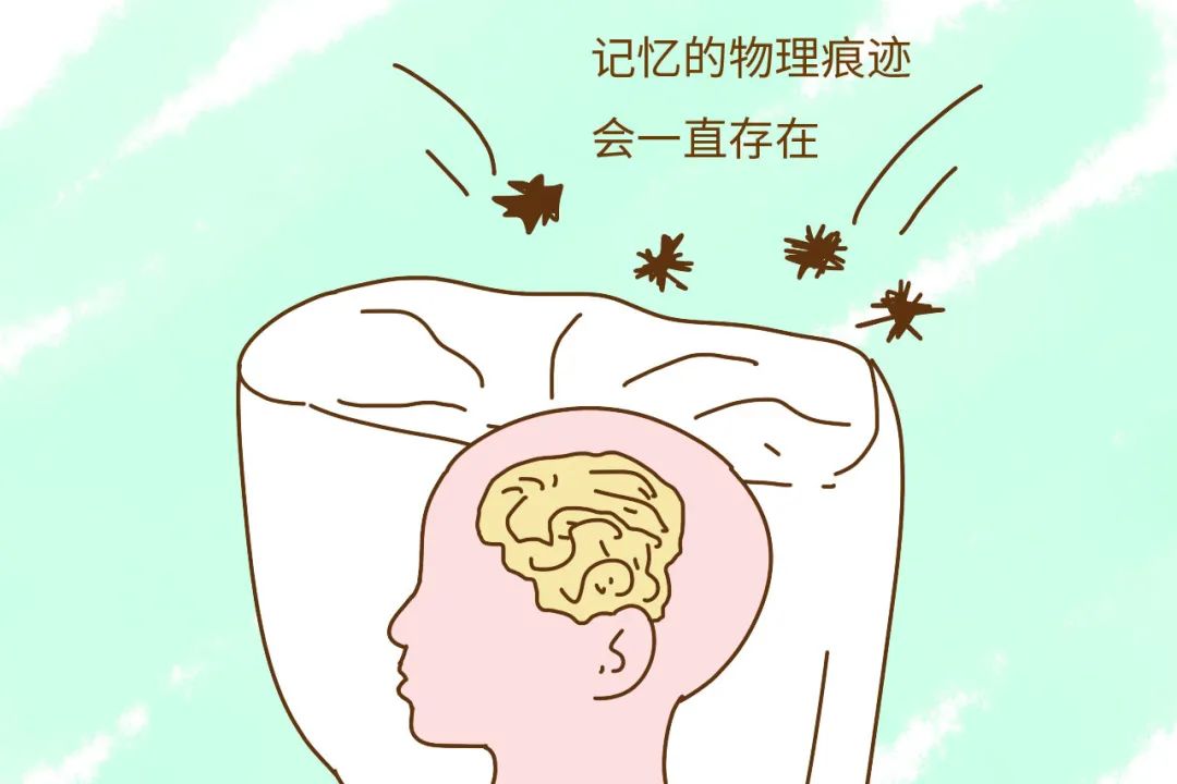 人类从小到大的记忆都有，为何3岁之前的记忆会丢失？真相揭晓