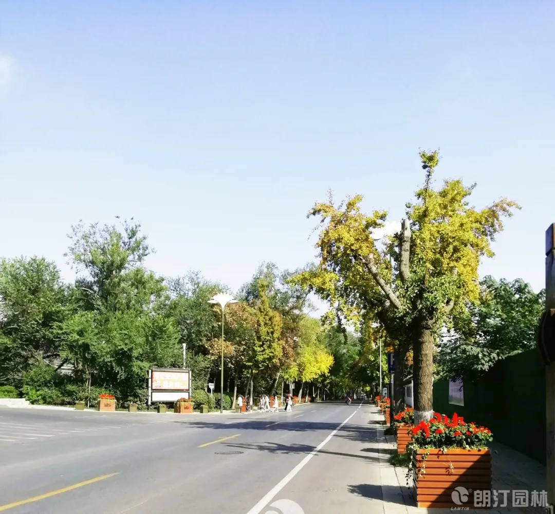 扬州个园，为何四季都这般风雅？
