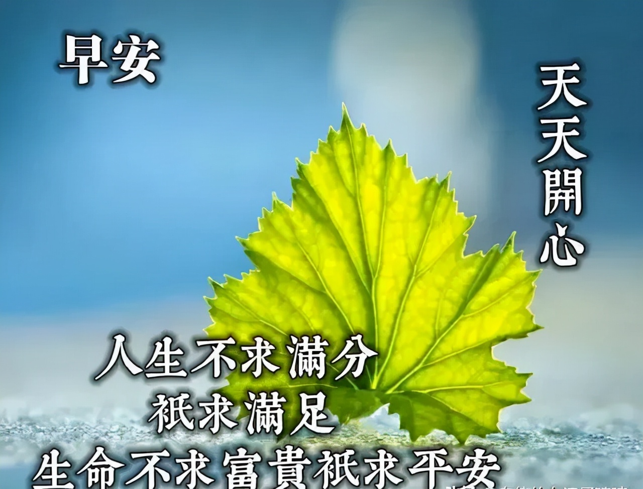 「2021.10.14」早安心语，重阳节正能量秋天语录句子，图片带字