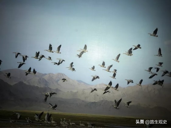 甘肃此地形同两扇门，走过去，让人会想到汉武帝领着卫青和霍去病