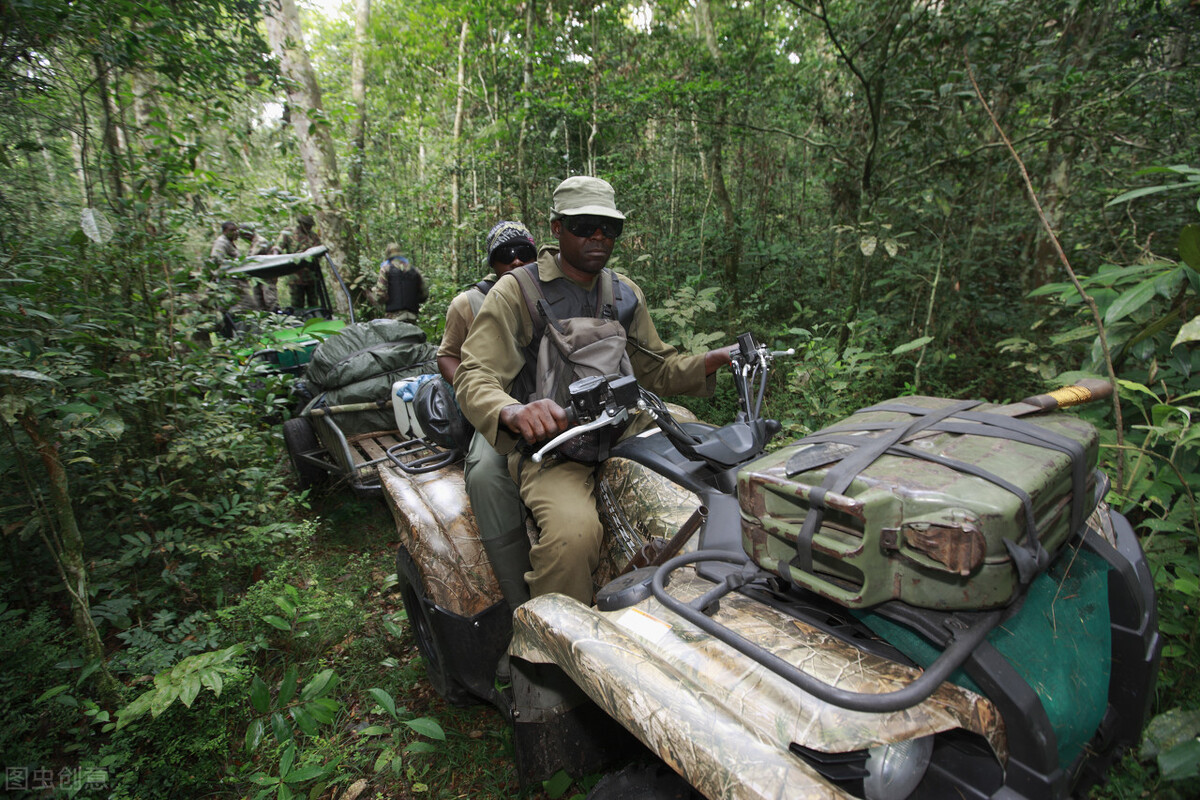 野人164、盛宇才的麻醉枪俘获了赫力兄妹，坎离山雪人迟到了