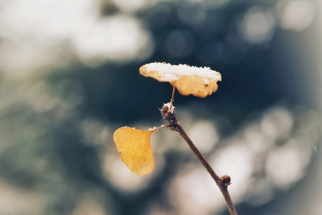 此生有你，人间值得