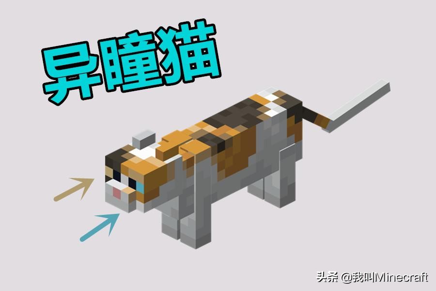 如何在《我的世界》里做一名合格的“铲屎官”？MC猫咪全攻略！