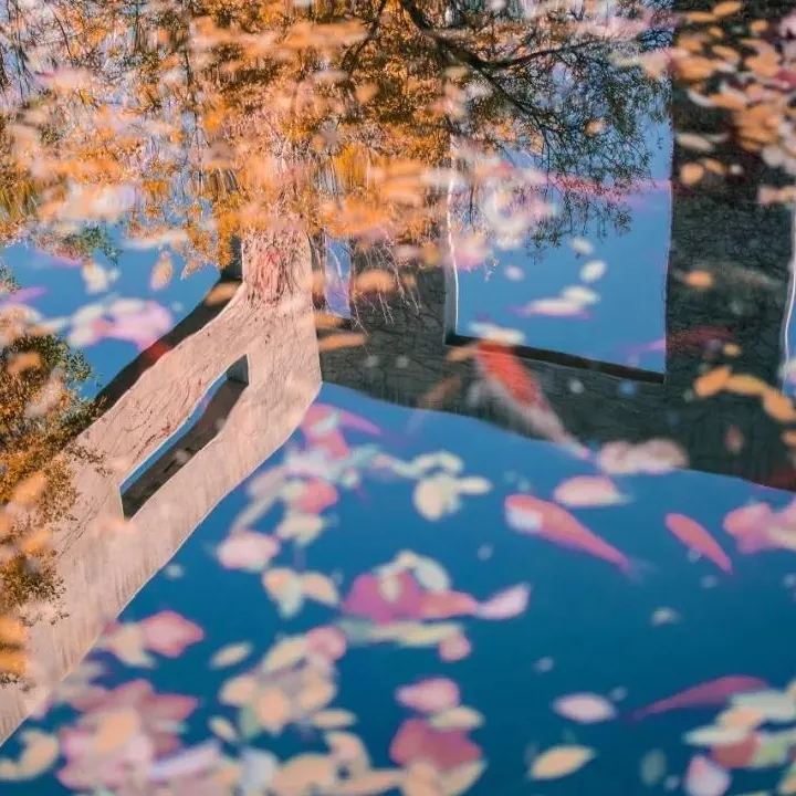 天津大学，125年，谢谢你