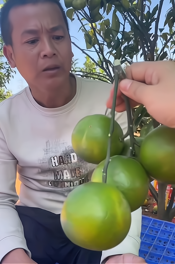 感动！全红婵父亲仍自食其力卖橙子：拒绝商铺豪宅不消费女儿荣誉