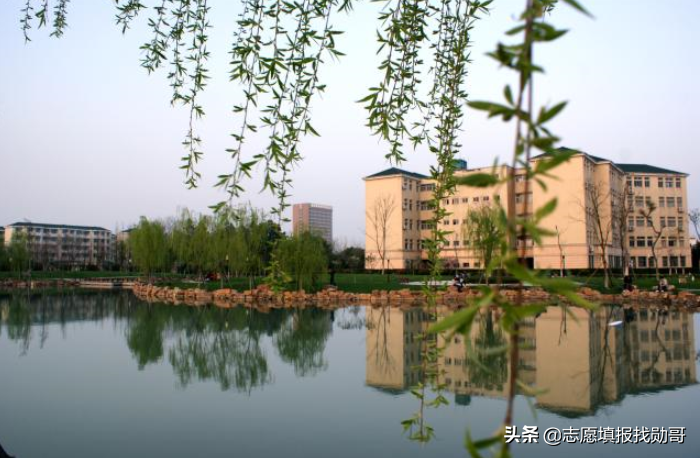 刚刚！安徽又新增一所大学！这是停不下来的节奏吗？