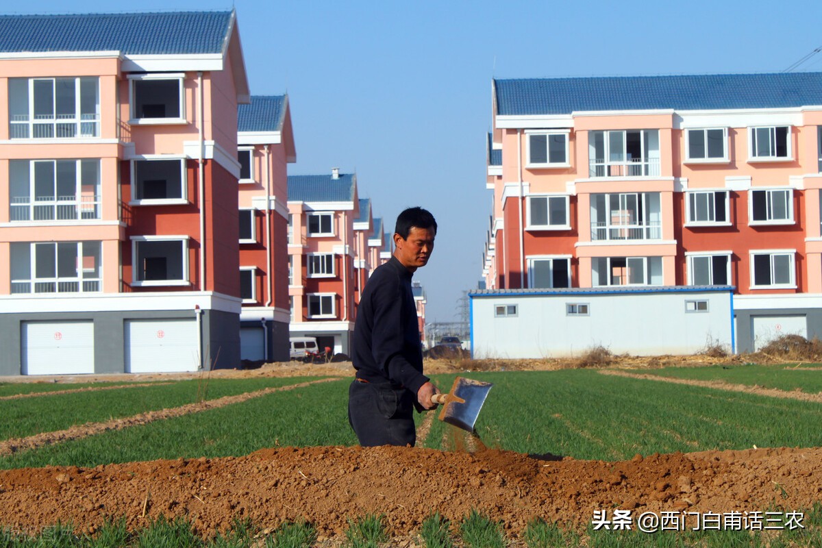 新土地法：农村征收土地，其中的“土地补偿费”归集体所有