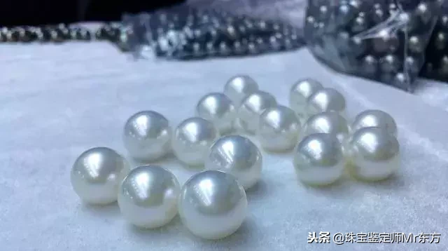“禁欲系”白珍珠|澳洲南洋白珍珠,为什么被称为珍珠之王?