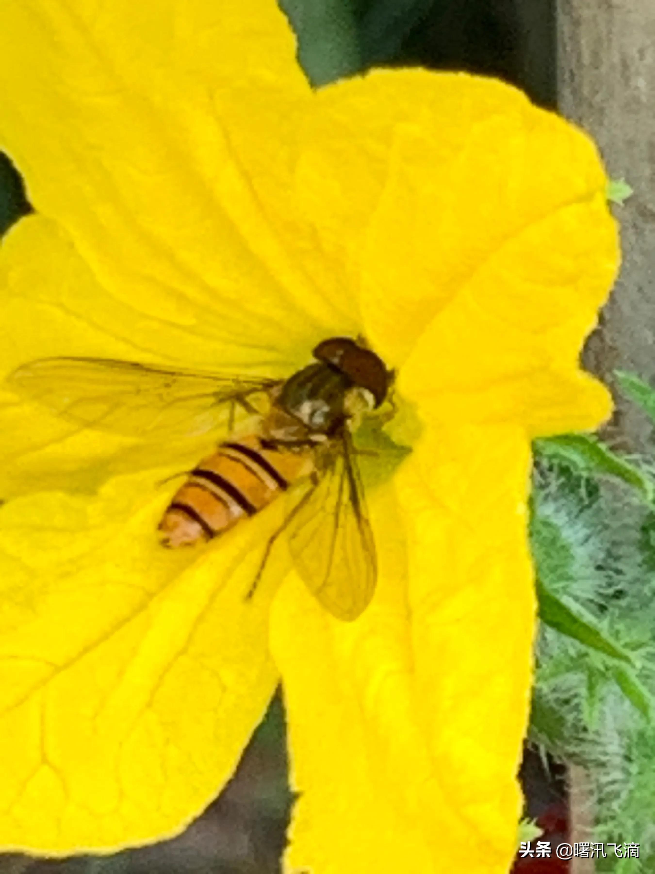 儿童节感怀（五首）