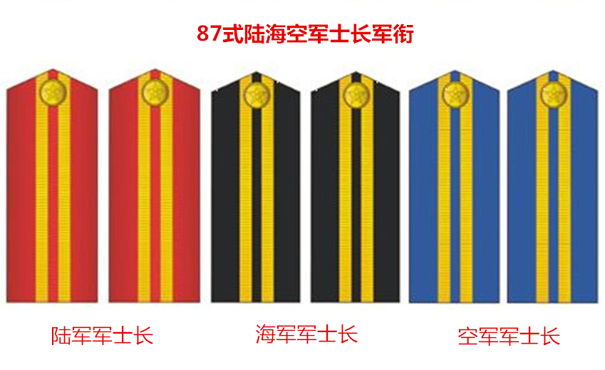 志愿兵待遇,10年以上志愿兵待遇