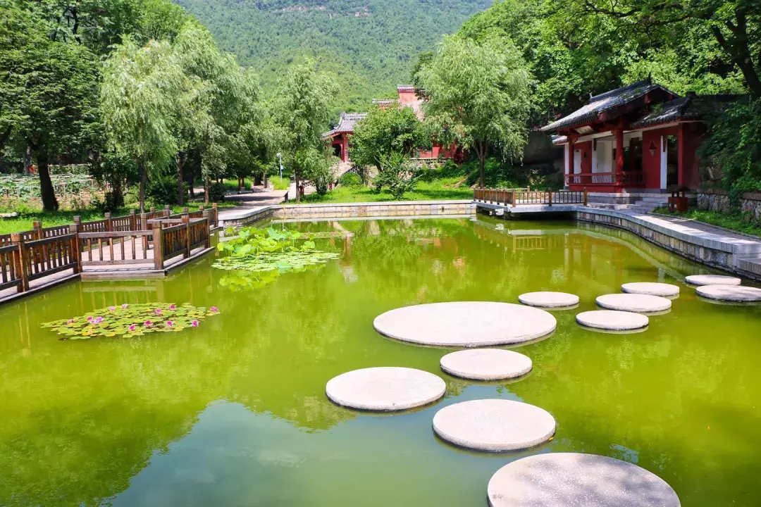 济南十大泉群之袈裟泉泉群，藏身灵岩寺，泉水美又甜