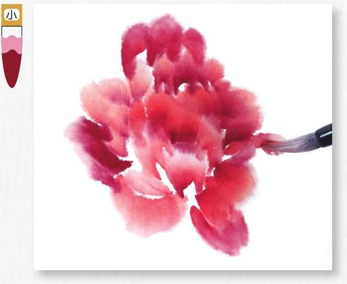 不同颜色牡丹怎么画？3种牡丹图解教你画，适合0基础学习，收藏