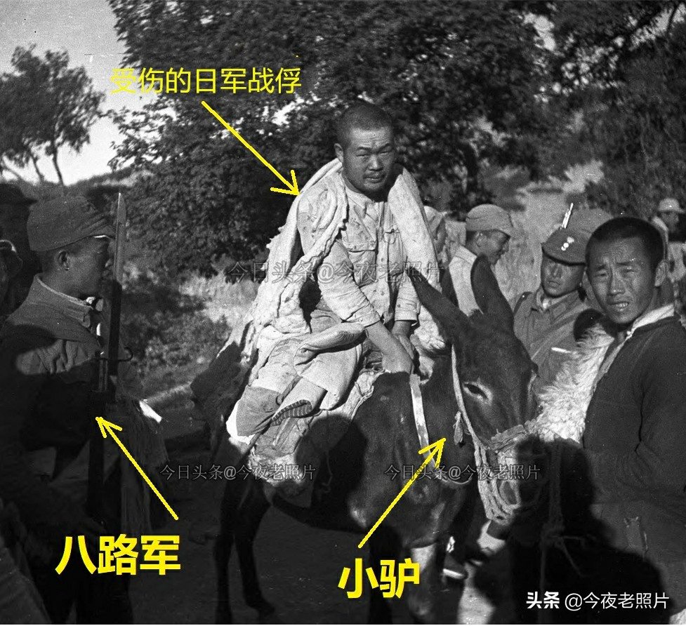罕见的照片：日军勒死黄鼠狼，德军扒老鼠皮，美军绞死日本前首相