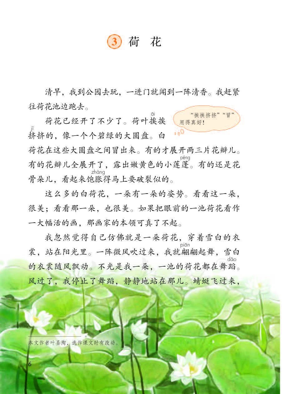 三年级语文《荷花》，老师整理精华知识点，孩子学习有效率！