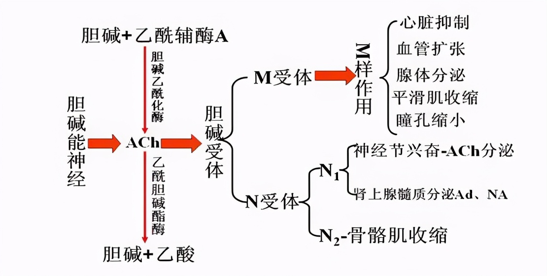6000多头羊突然暴毙，牵扯出美方隐藏已久的生化计划