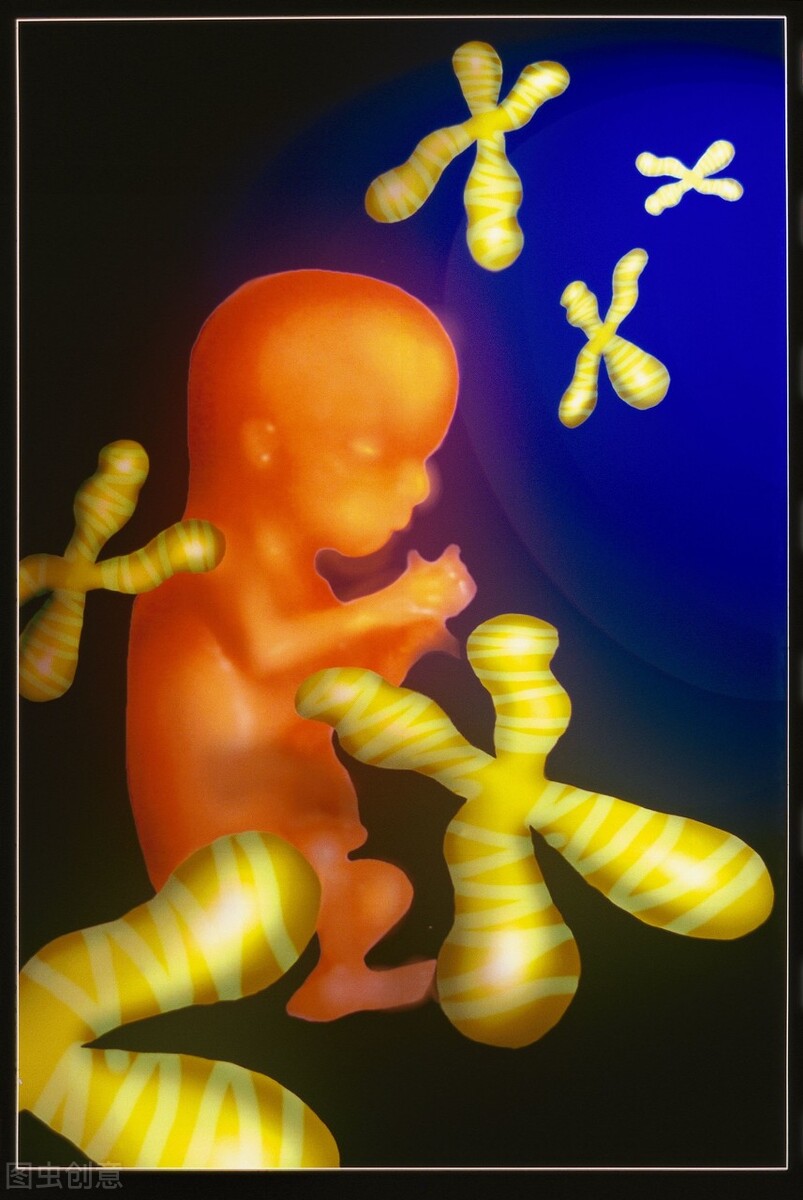 儿童白血病的诱因、症状、治疗、费用、预防每个父母都应该知道