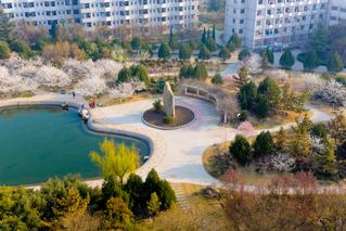 2020年山东省淄博市山东理工大学成人高考招生简章