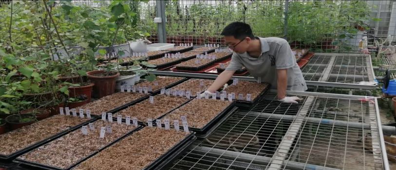 火了！北京这所大学频频登上中央电视台，研究成果在全世界发行！