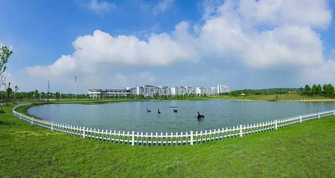 安徽这所211高校：坐拥5大校区，占地7000余亩，邓小平亲自题写校名！