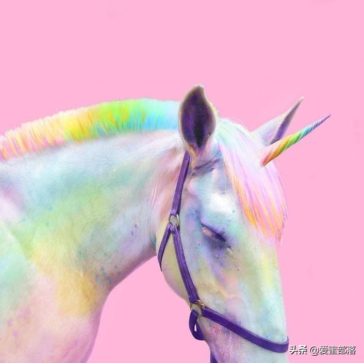 彩色发型的独角兽，彩铅绘画教程