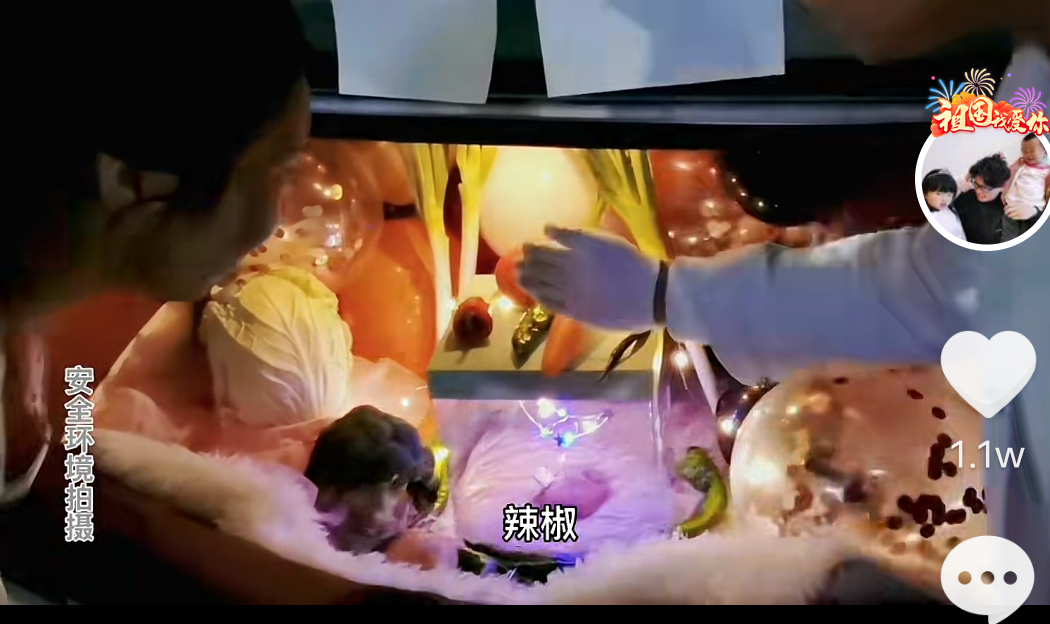 感动！田静过生日弟弟和老公为其送上礼物，郭威给了妻子大惊喜