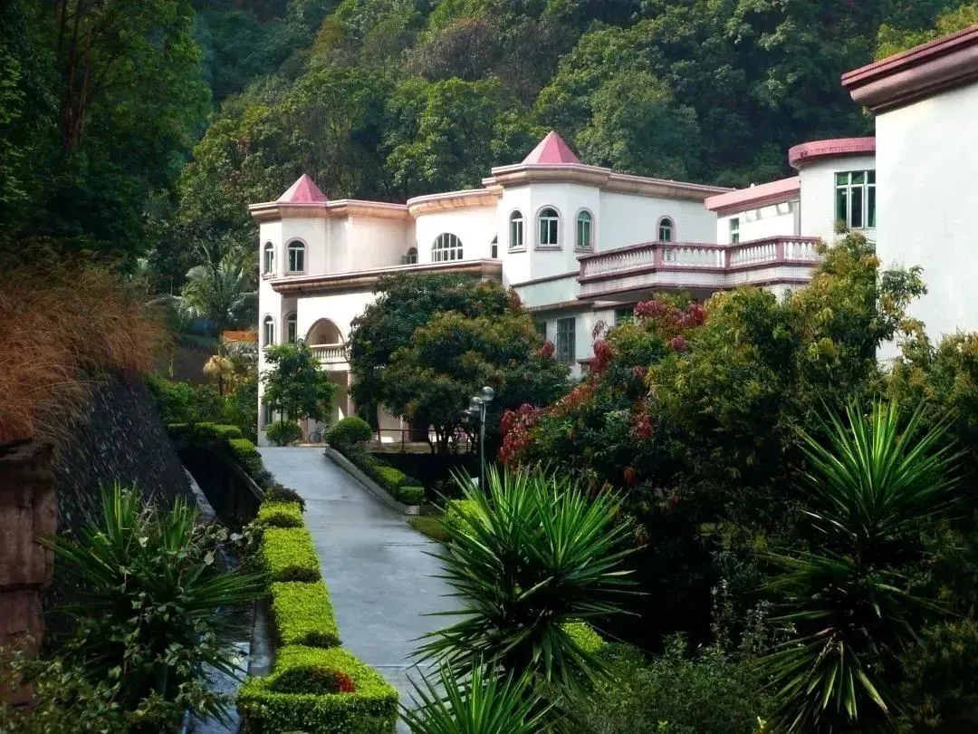 小编找了些涉外的硬货，希望能帮到3+证书补录的你｜广州涉外学院