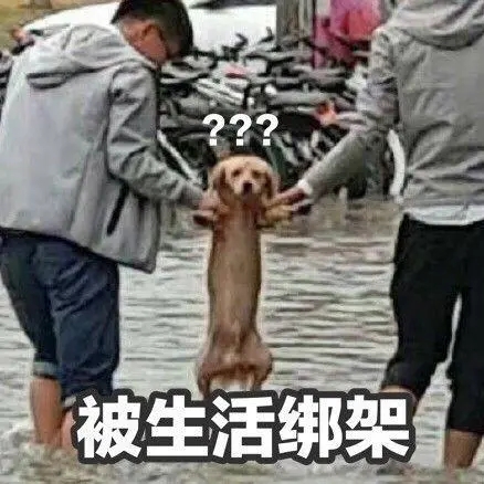 哥弟，是如何顺利躲过快时尚的全面阻击的？