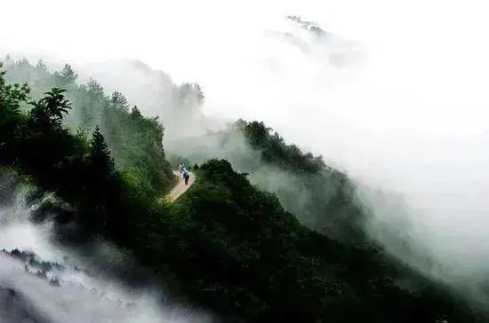 荣家湾到岳阳市区，将新增一条快速通道！岳阳一地上榜国家级名单
