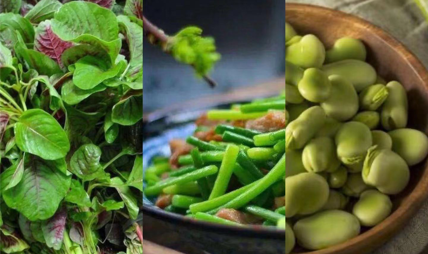 树三鲜 图源:网络立夏尝三鲜又称为"立夏吃三鲜"或"立夏见三新".