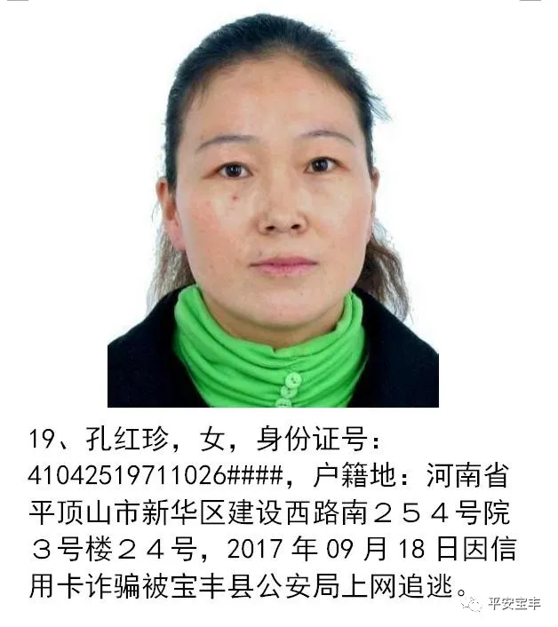 网上逃犯,网上逃犯名单查询系统