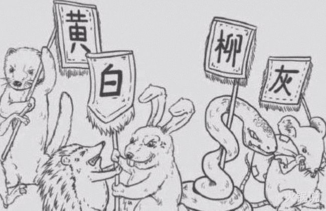 揭秘五位家仙身份，教你如何查询自己的仙缘