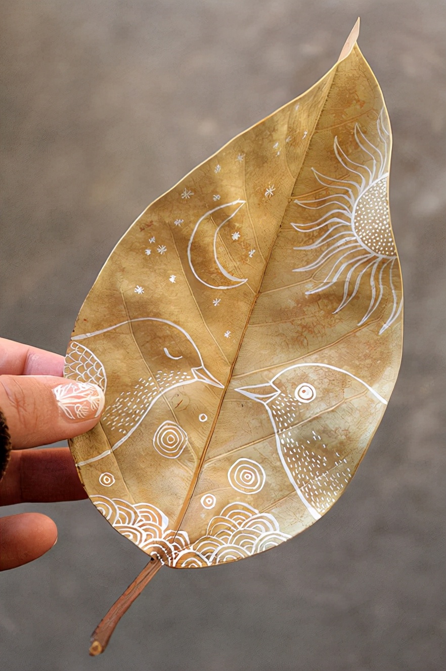 枯叶图片(落叶是秋天的礼物) - 赤虎壹号