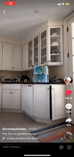 拜登叫停 TikTok 交易案，是因为他孙女也喜欢玩吗？