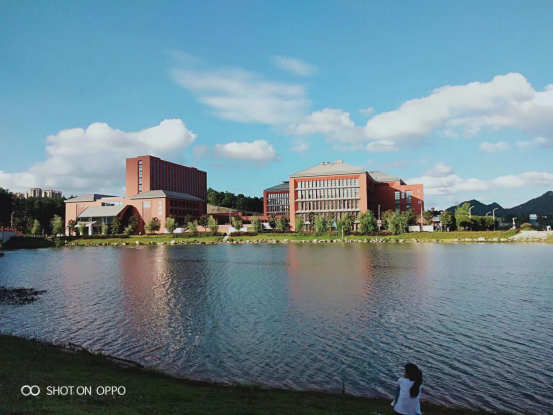 贵州大学图书馆官网（印象大学）
