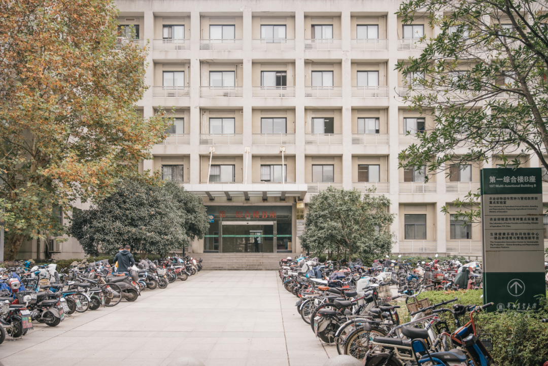 又是全国第一！华中农业大学，全体武汉人的骄傲