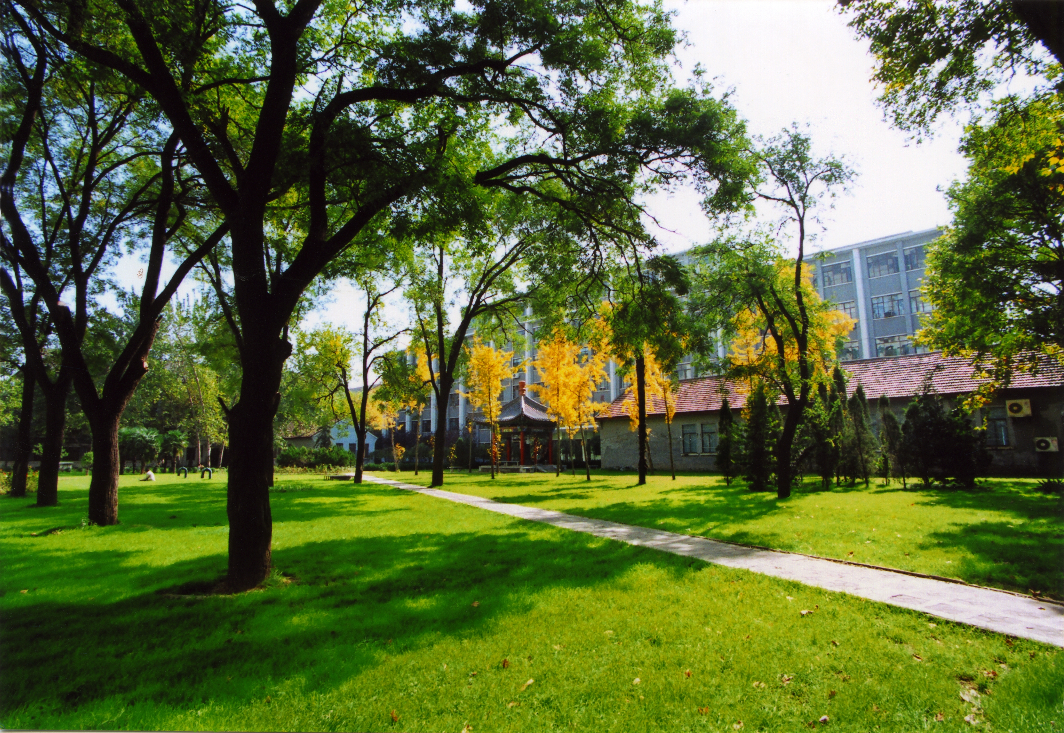 美术考生的心声：如果早知道我也可以上这所“211”工程建设大学