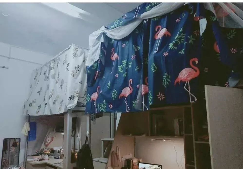 高职高考必看｜全面了解韶关学院