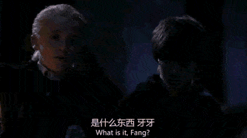 都是看《哈利·波特》，你在刷电影玩游戏，有人发了3篇大脑论文