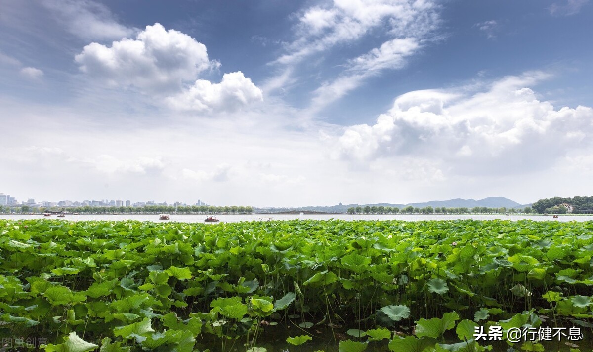 唐宋诗人描写杭州的六首绝美之作，令人叹为观止，您知道吧