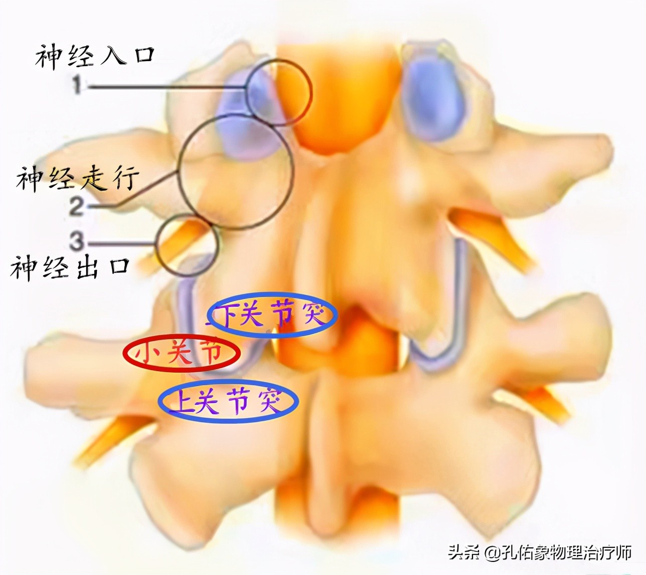 頸椎病很困惑,要如何治療呢?一文詳細告知您不一樣的策略方法