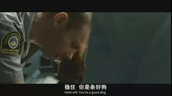 把女神关在笼子当狗养，竟是为了救她？这片全程高能