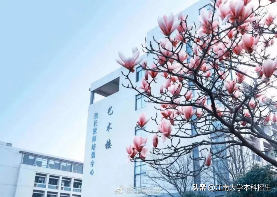 中国“最美”大学之一！占地3250亩，分布10万余棵植物，上学就像度假！