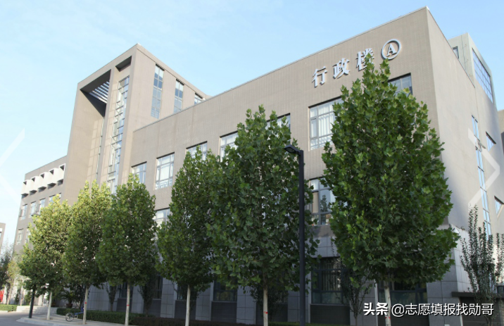 这所师范大学毕业生一半从事教育，北师大都比不过这所双非院校