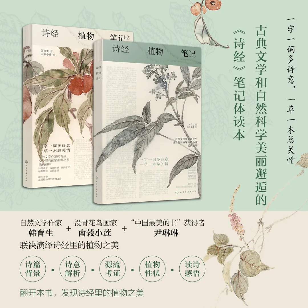 花椒“多子多福”的寓意是误解还是传说?还原《诗经》记载的真相