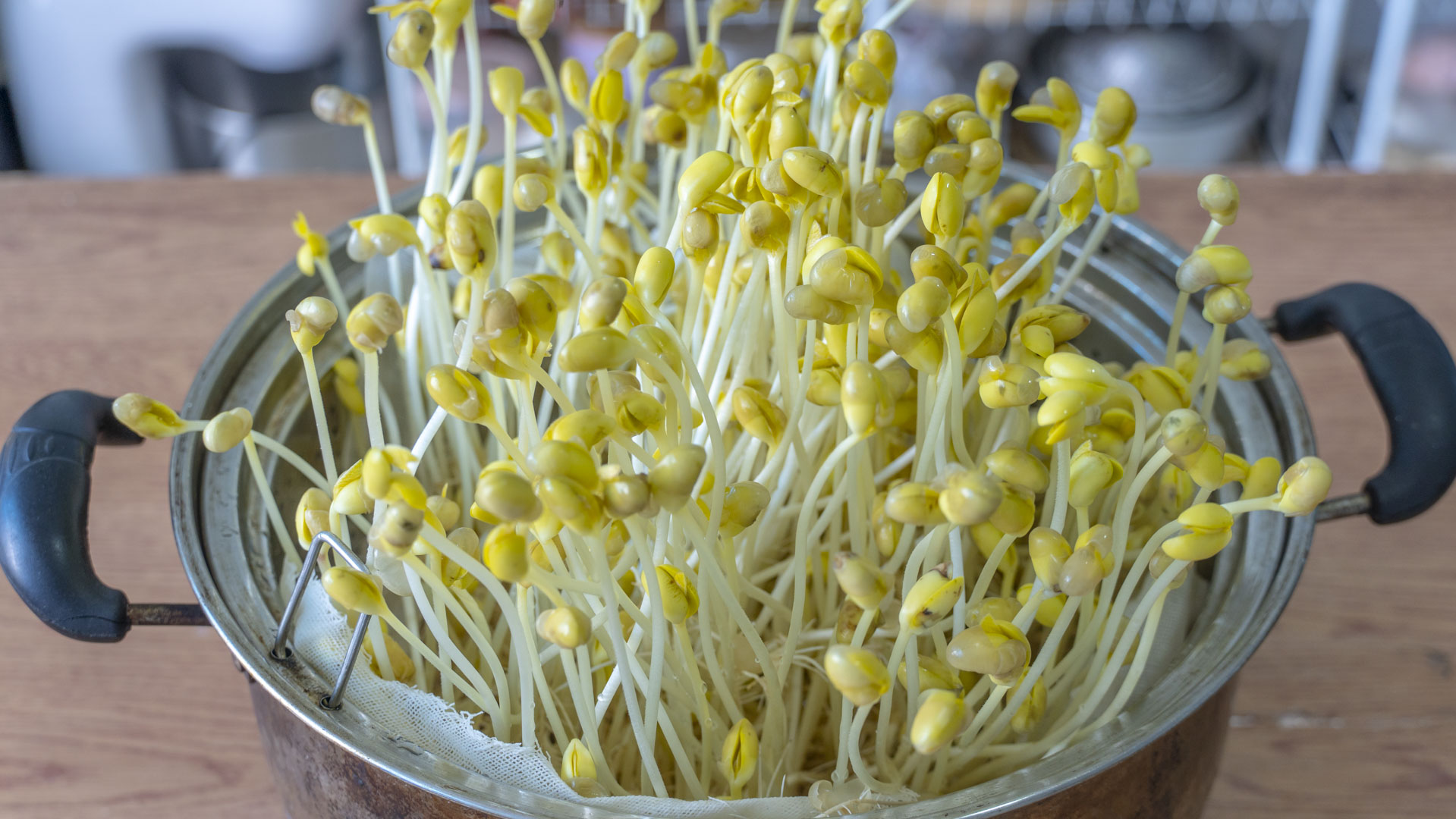 10道感恩家常菜，做给爸妈吃，有肉有菜有热汤，营养美味超贴心
