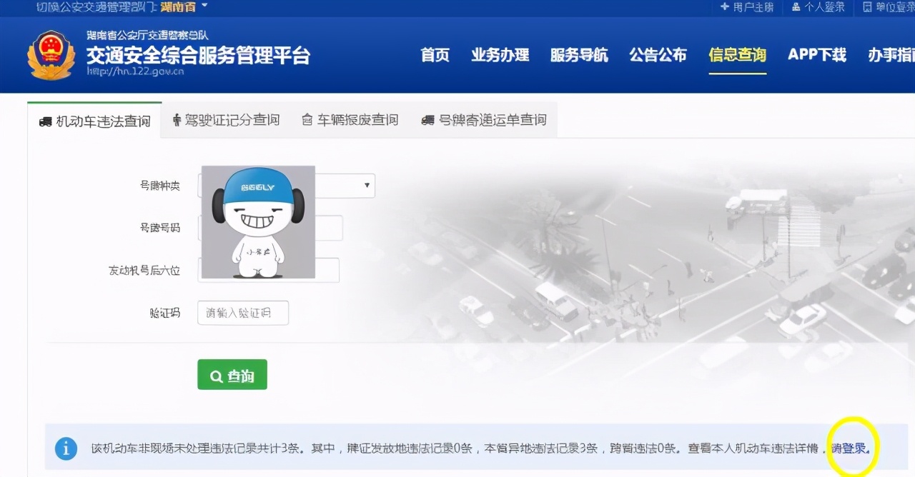 知识分享—小景教你查违章