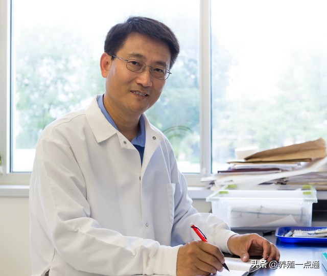 王增裕，青岛农业大学教授、博导，动物科技学院、草业学院院长