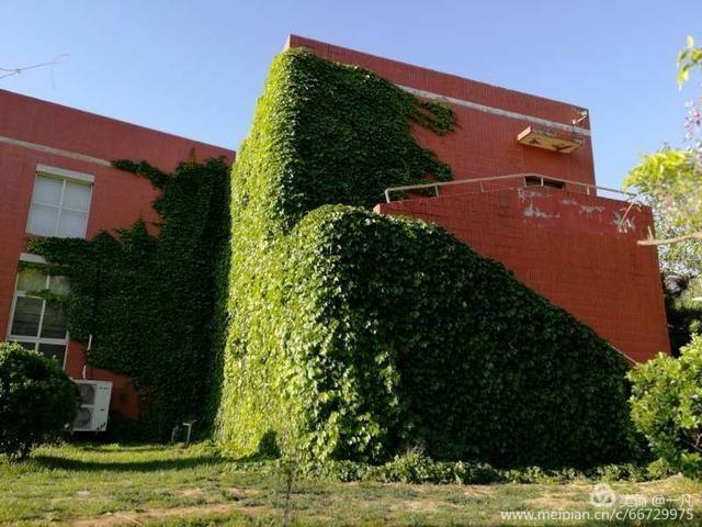 年年蟾宫折桂，岁岁铸就辉煌——热烈庆祝高邑一中2020年高考再创新高