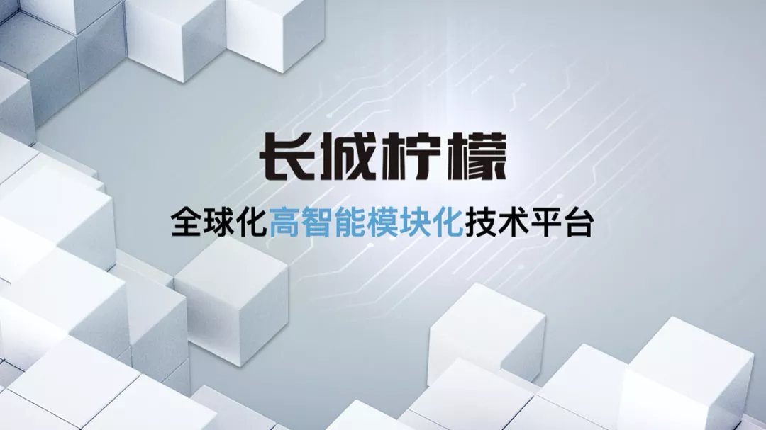 未来的长城汽车什么样?看这两款新SUV就知道