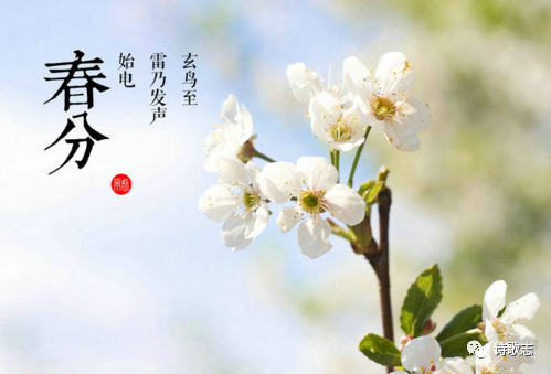春分∣春去春来春已半，韶华倾负倒春寒